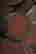 item-131522473=5