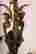 item-131522494=12