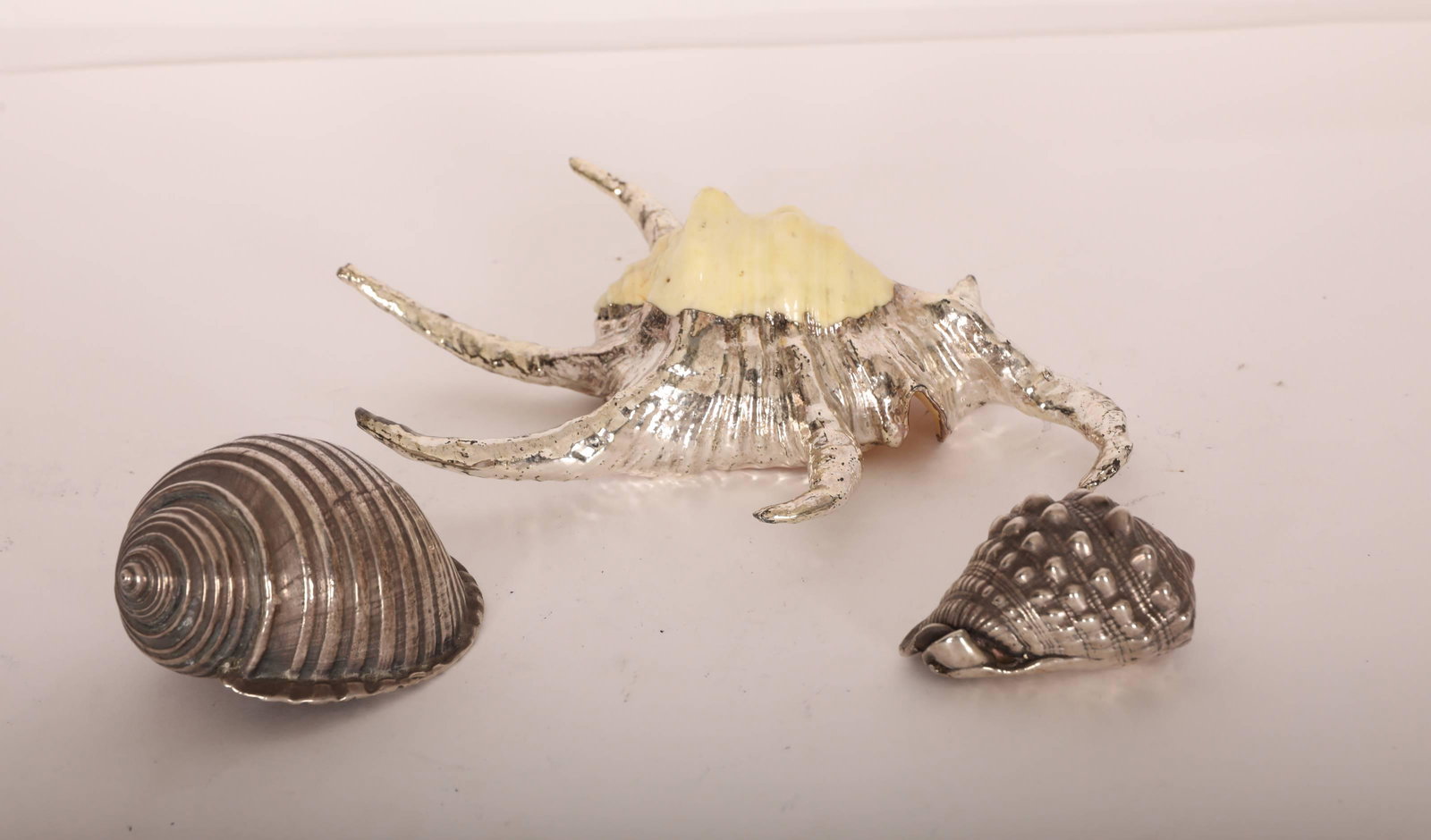(3) Sterling Shells (1) plated (2) by Mary Maboxey (1 of 13)