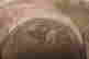 item-131522619=9