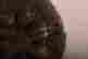 item-131522625=12
