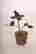 item-131522626=4