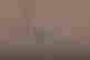 item-131522628=12