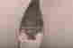 item-131522636=14