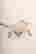 item-131522636=3