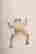 item-131522636=7