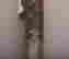 item-131522637=19