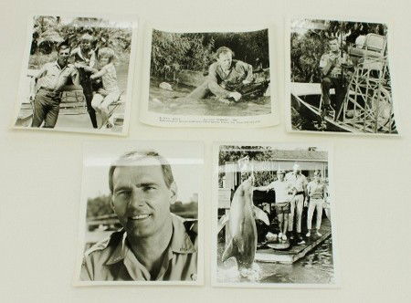 (5) Original Photos from the TV Series, "Flipper": Lot of (5) 8" x 10" original photographs taken on the set of the 1960's television series, "Flipper". Some curling to edges due to age.