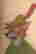 item-135862493=4