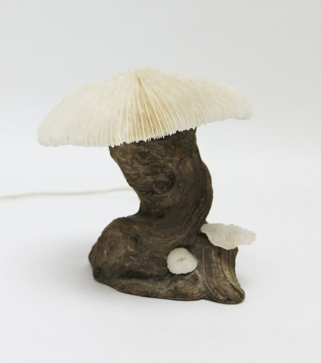 127 Coral and Wood Mushroom Lamp Lot 127