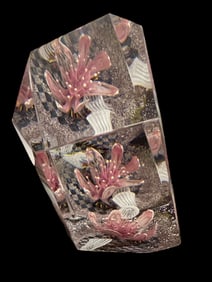 Dichromatic Aquarium Crystal Prism