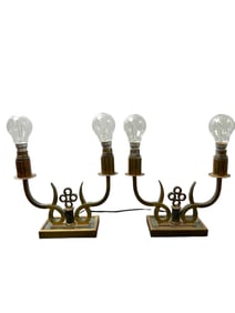 Pr 20's Austrian Bronze Boudoir Lamps