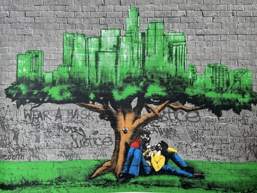 Hijack Son of Mr. Brainwash "Pollution Resolution"