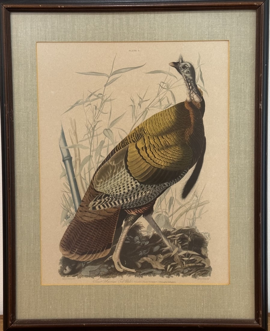 J.J. Audubon "Great American Cock Male" (1 of 10)