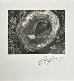 Ansel Adams (1902-1984) "Leaves, Frost, Stump,