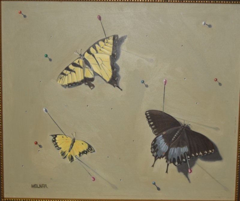 Molnar Realist Oil Painting o/b Pinned Butterflies (1 of 8)