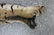 Full Mount Bengal Tiger Skin Rug - 10