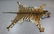 Full Mount Bengal Tiger Skin Rug - 2