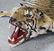 Full Mount Bengal Tiger Skin Rug - 5