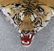 Full Mount Bengal Tiger Skin Rug - 6