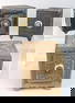 Cast Iron Bank Lot