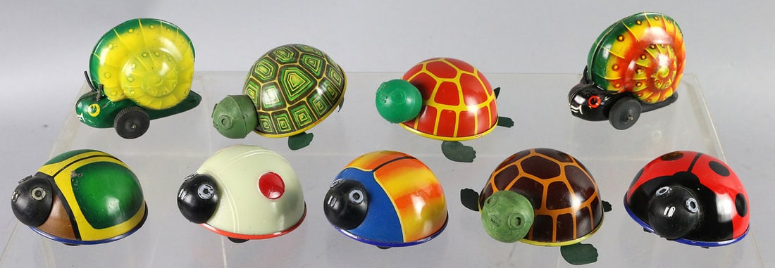 Lehman Turtle Lot: Lehman Turtle Lot, 9, Susi Baby, Luna, Noli