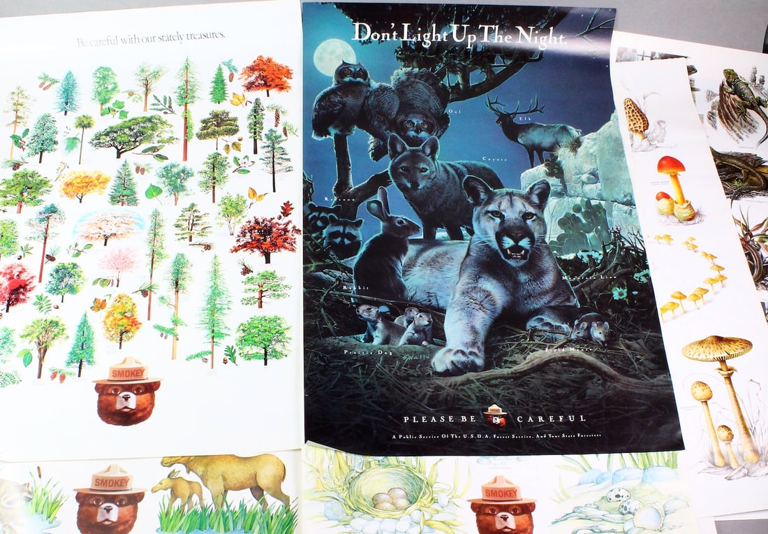 USDA Forest Service Smokey The Bear Poster Set in Ship Box: Lot of 14+1 USDA Forest Service 20" x 30" Smokey The Bear Posters Pristine in the original shipping box. Includes: Birds, Animals, Insects, Butterflies, Fish, Snakes, Lizards, Trees, Leaves, Flowers,