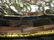 48: TIFFANY STUDIOS, NEW YORK - 3