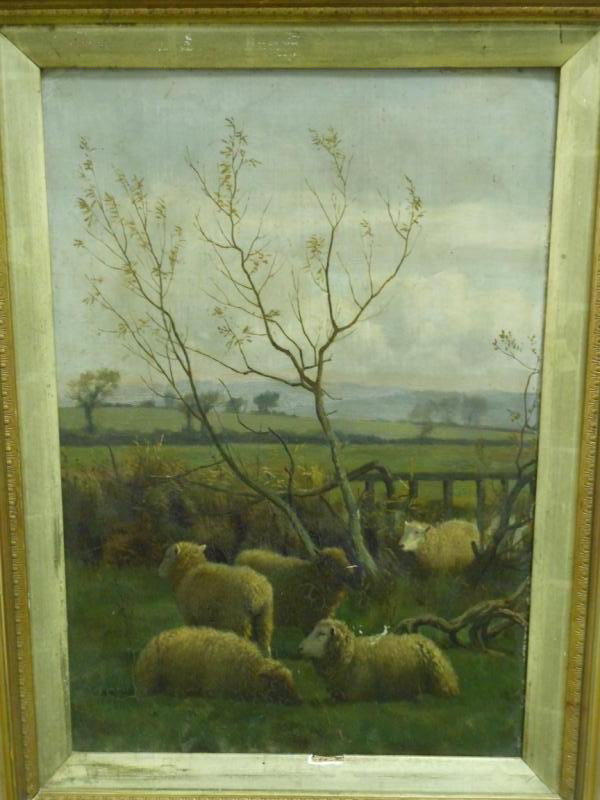 WILLIAM SIDNEY COOPER, BRITISH (1854-1927): Sheep resting in a field, 1891, oil on board, signed and dated lower left, imperfections, gilt-framed. 18 x 12 1/2 inches