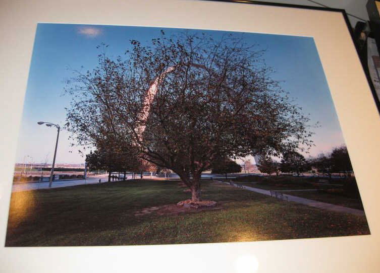 JOEL MEYEROWITZ, AMERICAN (B.1938): 4TH BETWEEN MARKET AND CHESTNUT, 1978, #10 from the portfolio of twelve, ST. LOUIS AND THE ARCH, Dye transfer print, 65/75, signed and numbered, published by the Greenberg Gallery, St. Louis, framed.