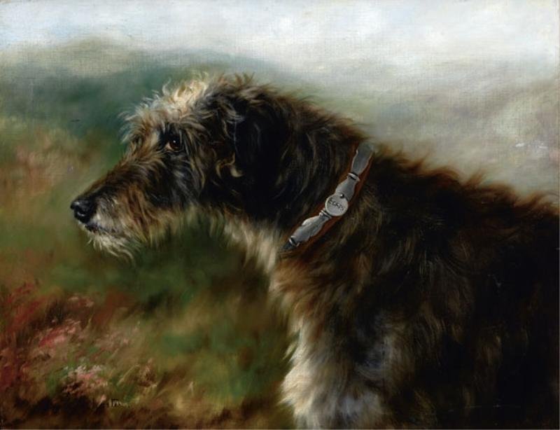 ADRIENNE LESTER, BRITISH, 20TH CENTURY: BORIS, Irish Wolfhound, circa 1905, oil on canvas, Boris was no. 290 on Graham's Pedigrees, born 1896, breeder M. K. Angelo, painted when Boris was turning Age-grey, signed lower left and inscribed on