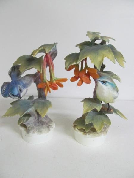 PAIR OF ROYAL WORCESTER DOROTHY DOUGHTY BIRDS: Cerulean Warblers perched on maple branches, signed and marked, one having imperfections, each with box. Height 10 1/2 in.