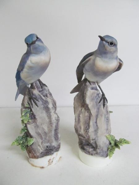 PAIR OF ROYAL WORCESTER DOROTHY DOUGHTY BIRD: Mountain Bluebird perched on naturalistic rock form base, signed and marked, one with box. Height 9 1/2 in.