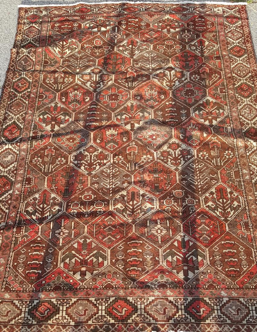 Bakhtiari Rug: Iranian Bakhtiari rug having dominant red and brown colors in a geometric motif. 9 feet 9 inches width, 6 feet 9 inches depth. 9'9"W x 6'9"D