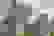 item-62503440=6
