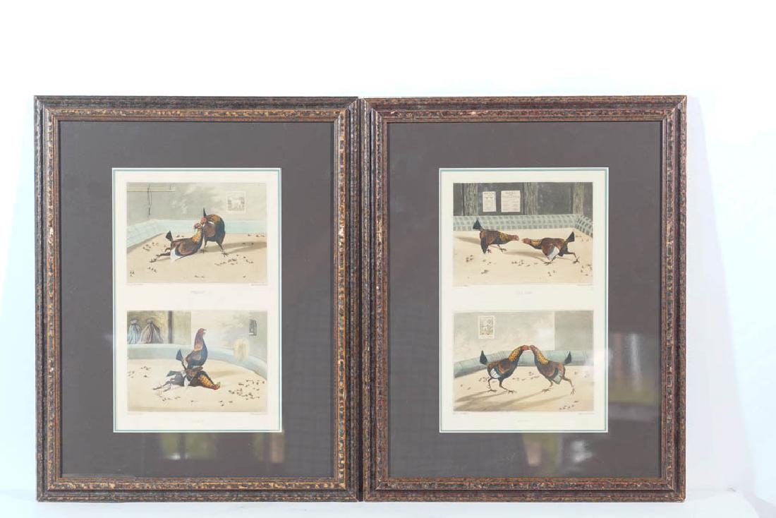 Set of English Cockfighting Prints (1 of 10)