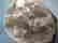 item-16902728=5