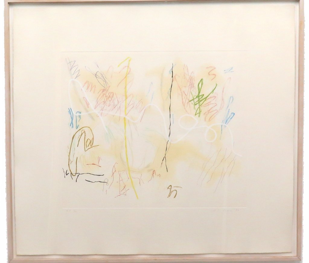 GRAVES, NANCY STEVENSON (1940-1995, American): Colored etching on paper. Depicting an abstract composition. Signed lower right in pencil N.S. Graves and dated '77. Numbered lower left 8/10, Artist Proof. Labeled on verso. Custom framed. Measures: