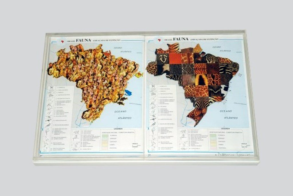 NELSON LEIRNER (BRAZIL, b. 1932): Untitled, No Date. Mixed Media. Comprising two geographic images of Brazil composed of pictorial collages, framed in lucite. 11 1/5 x 17 inches. Note 7" approx. crack in lucite to one of images. Prove