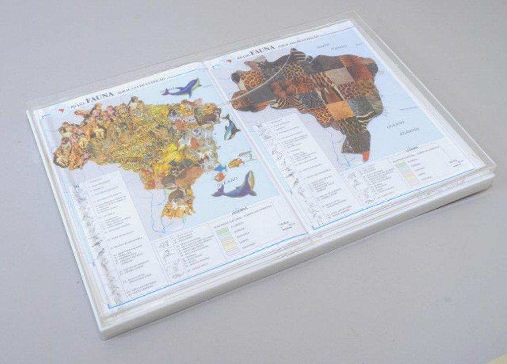 NELSON LEIRNER (BRAZIL, b. 1932): Untitled, No Date. Mixed Media. Comprising two geographic images of Brazil composed of pictorial collages 11.5"H X 17"W framed in lucite. Note: 7" crack in glass Provenance: Roebling Hall Galleries vi