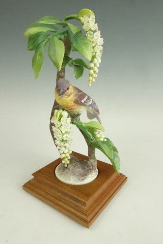 Royal Worcester Dorothy Doughty Lazuli Bunting F: Female porcelain bird figure on wood base.10 1/2"H X 5 1/2"W X 5 1/2"D