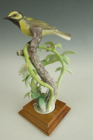 Royal Worcester Dorothy Doughty Hooded Warbler F: Female porcelain bird figure on wood base.10 1/2"H X 5 1/2"W X 5 1/2"D