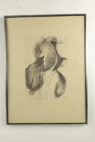 Baskin, Leonard (MA, 1922-2000) An Iris for Lisa: Engraving titled, signed, dated 1970 in plate. Signed pencil Baskin lower right and numbered 109/130 Site: 30"H X 21 1/2"