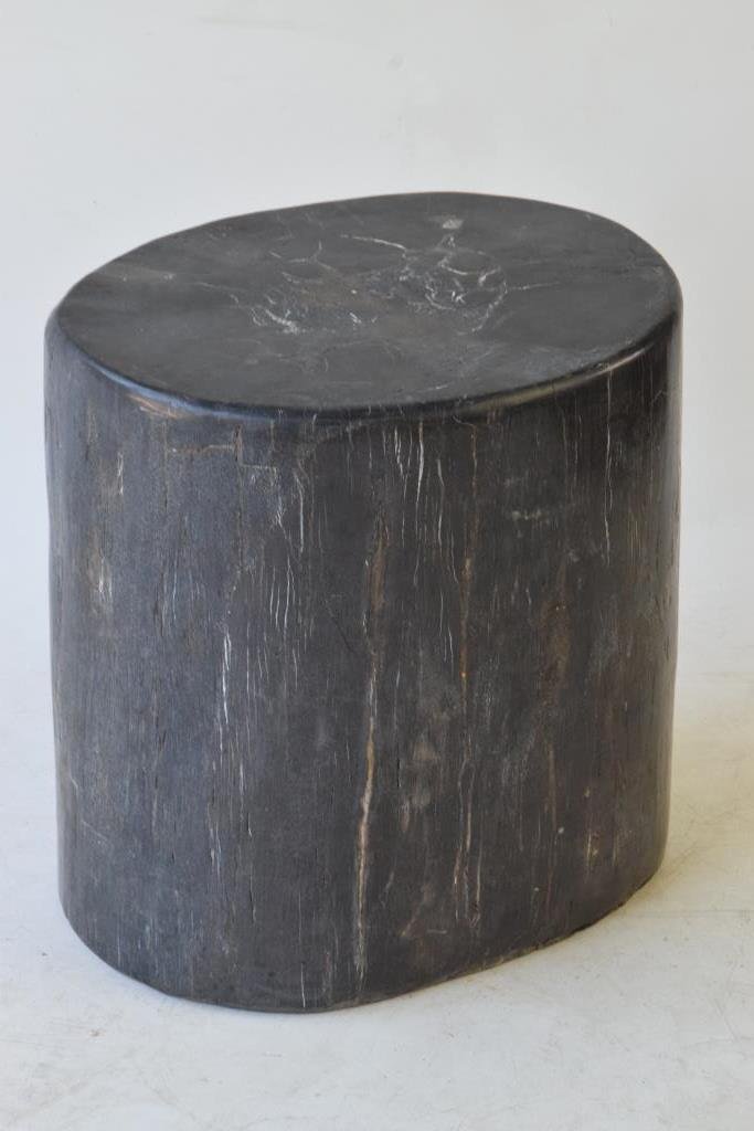 Petrified Wood Pedestal Base (1 of 8)