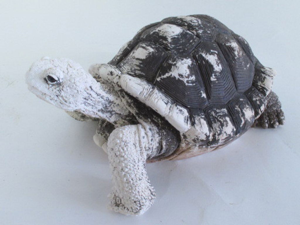 Painted Concrete Decorative Tortoise (1 of 8)