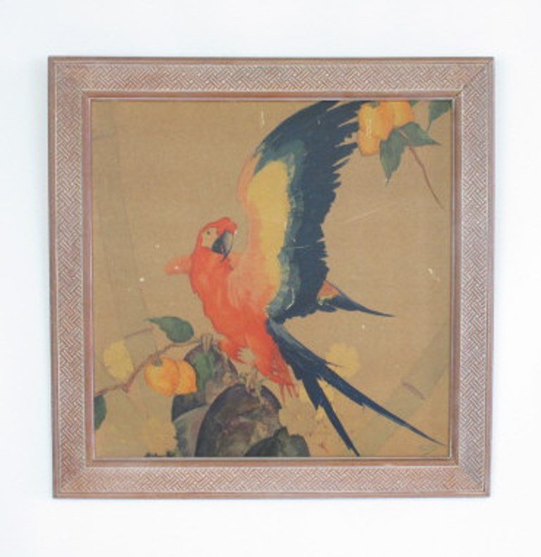 Stark Davis Parrot Print (1 of 5)