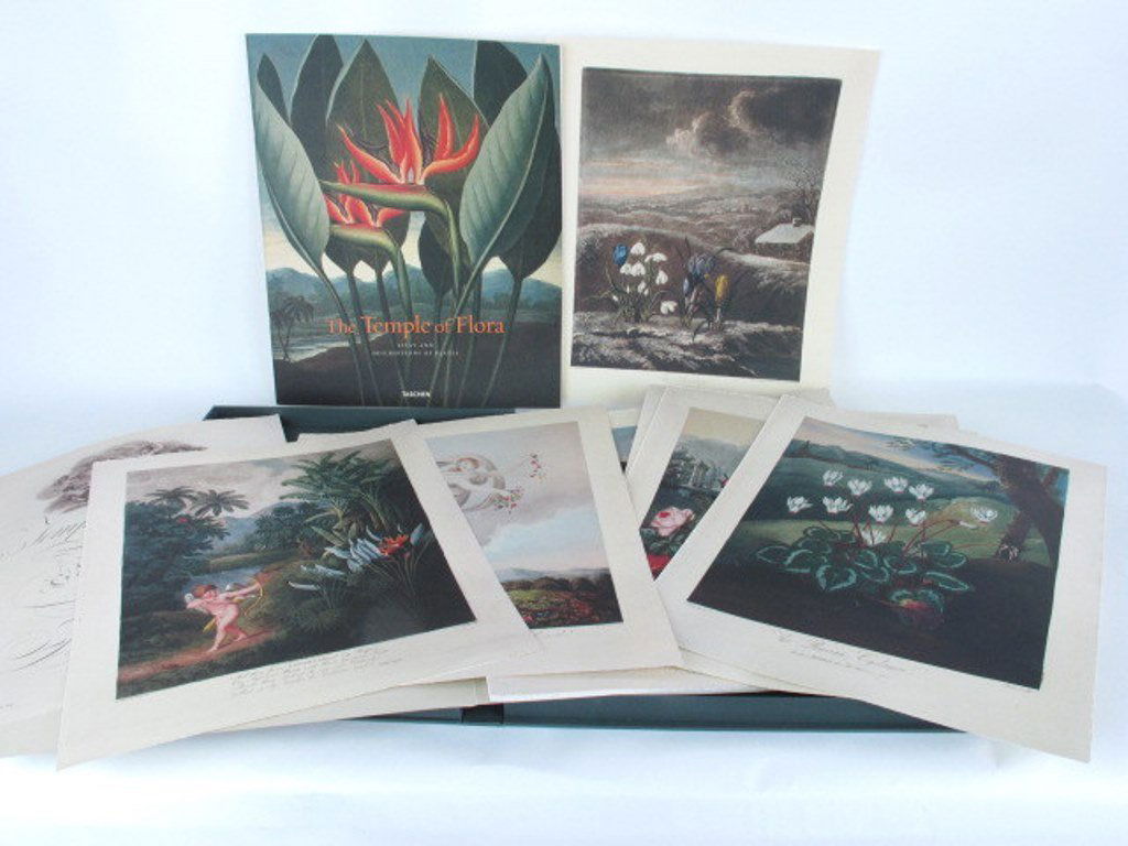 Temple of Flora by Robert John Thornton: A stunning achievement in botanical illustration, reprint edition 22" H x 18" W x 1.5" D Excellent Dimensions:22" H x 18" W x 1.5" D