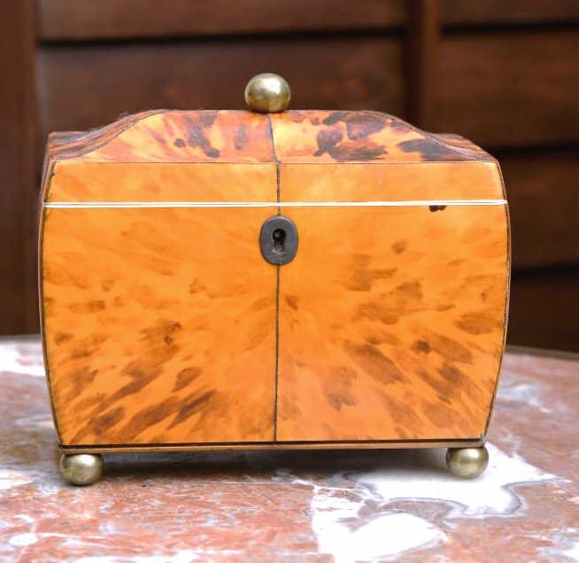 19th Century English Tortoise Tea Caddy (1 of 10)