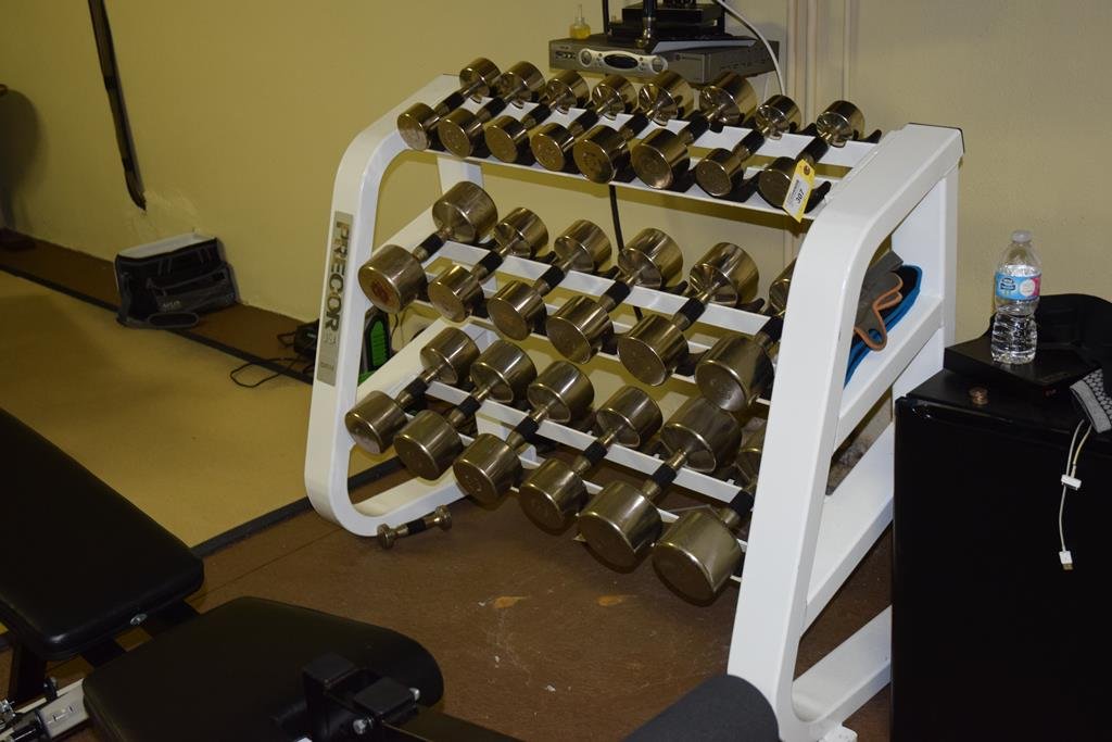 Precor Weight Rack with Polished Steel Weights (1 of 2)