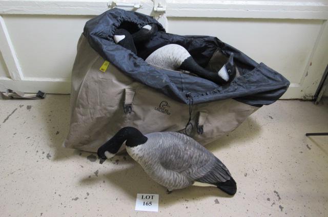 (6) Green Head Gear Canadian Geese Plastic Decoys: (6) Green Head Gear Canadian Geese Plastic Decoys with Ducks Unlimited Bag, Measures 32" l x 10" w x 12" h